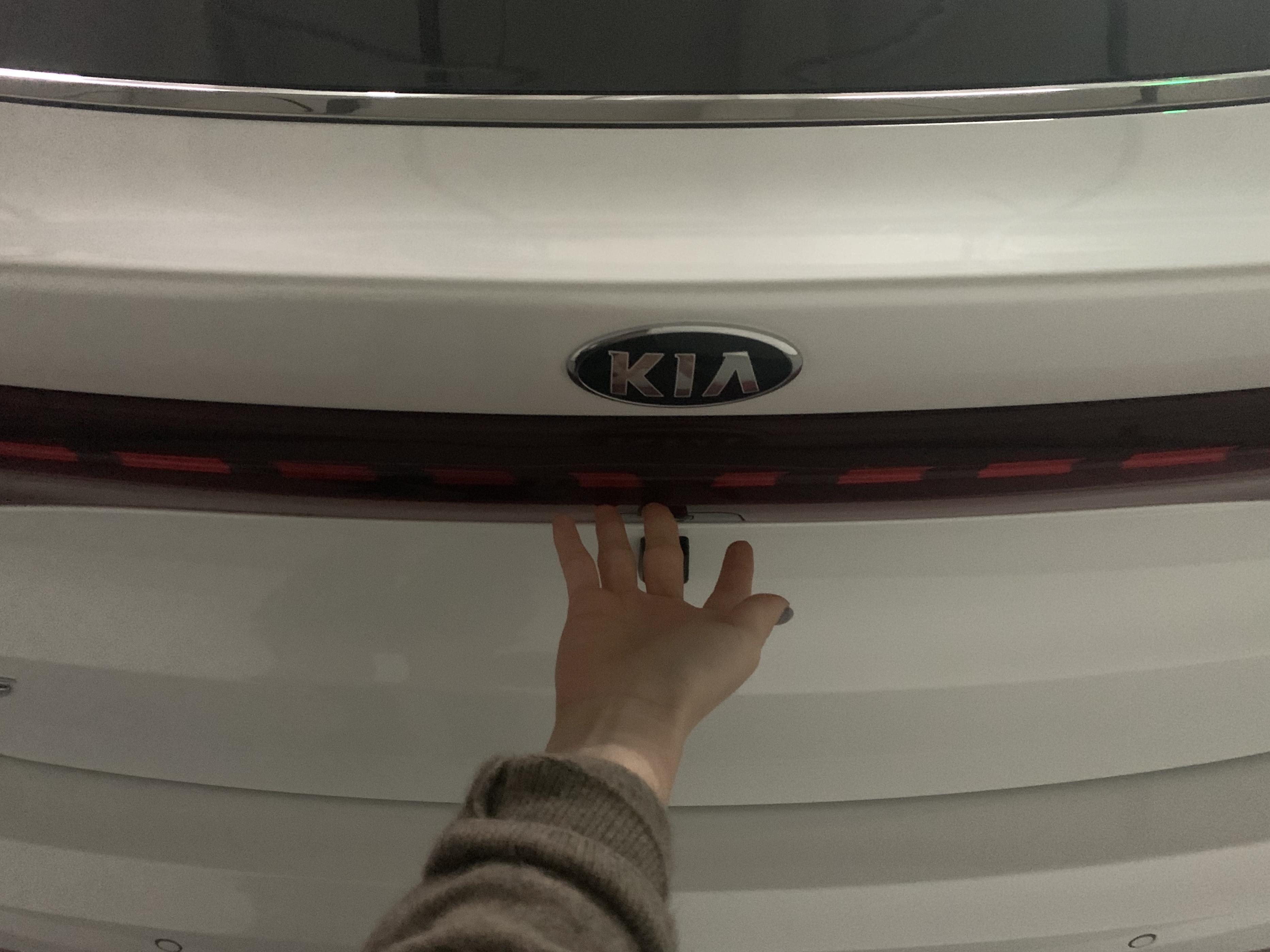 2021_K5_-____.jpg