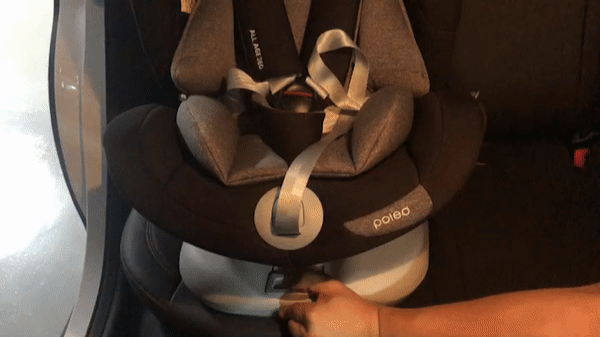 998D303C5D5FB3E81E.gif